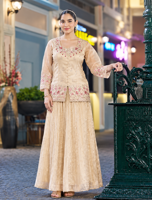 classy elegant ethnic Indo-western wear for women